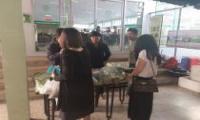 Community supporting Agriculturist providing organic vegetable and safe agricultural product to Kasetsart University